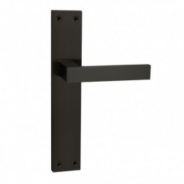 MANILLA PLACA. 50xh255 mm....