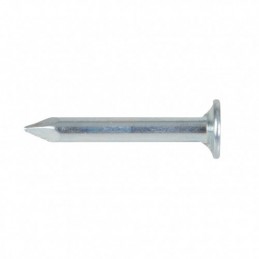 SEMENCE CINC.DE 10 mm....