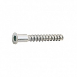 TORNILLO ENSAMBLAR 5X50mm...