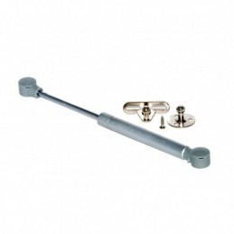 PISTON GAS ELEVABLE 8 KG...