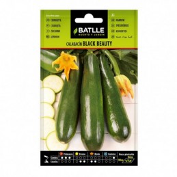SEMILLAS CALABACIN BLACK...