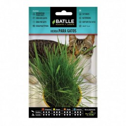 SEMILLAS HIERBA PARA GATOS...