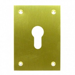 PLACA TROQUEL LAT.PUL 70X100