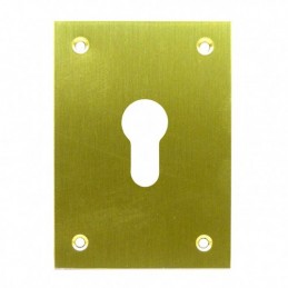 PLACA TROQUEL. LAT.PUL 80X80