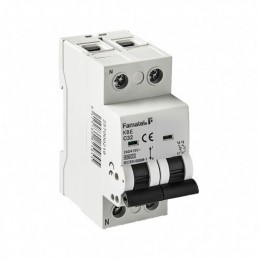 MAGNETOTÉRMICO 1P+N 20...