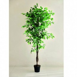 PLANTA ARTIFICIAL FICUS...