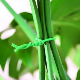 ABRAZADERA PP PLANTAS LISTA...