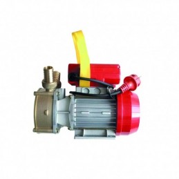 BOMBA TRASIEGO ROVER 30 CE.