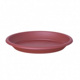 PLATO UNIVERSAL COLOR...