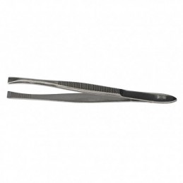 PINZA 3  BORDE RECTO PALMERA