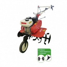 MOTOAZADA 6,5 HP 2 VELOCID...