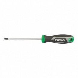 DESTORN.TORX T-10 4X75 RATIO