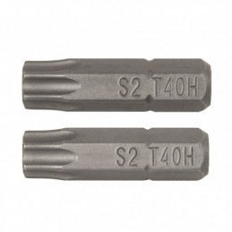 PUNTAS 25MM.TORX SEG.T40...