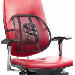 RESPALDO LUMBAR PORTATIL...