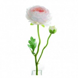VARA RANUNCULO ROSA