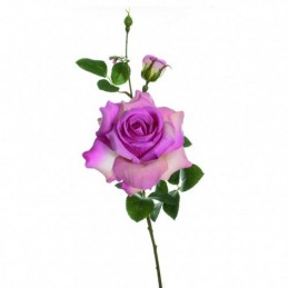 VARA ROSA ALICIA FUCSIA