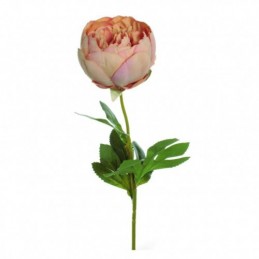 VARA PEONIA CERRADA SALMON
